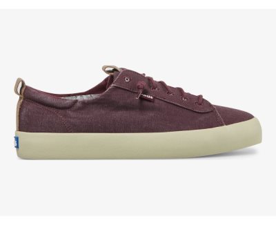 Keds Kickback Canvas Washable Sneakers Dames Fig | c7FAByWZ