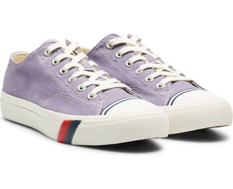 Keds Royal Lo Canvas Schoenen Heren Paars | wyiCbiWX